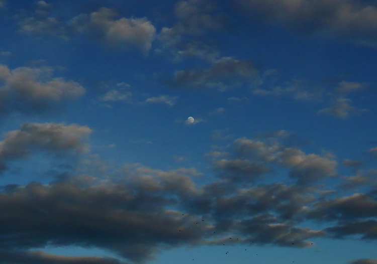 10 gennaio Luna al perigeo